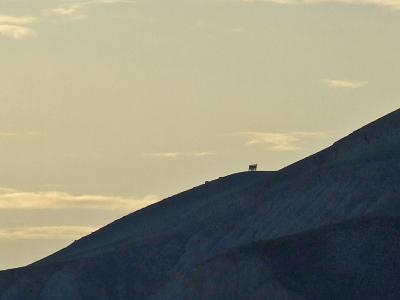 Прикрепленное изображение: 051.jpg